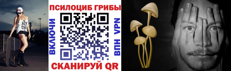 Галлюциногенные грибы мицелий  как найти   Улан-Удэ 
