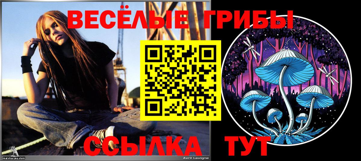 Галлюциногенные грибы Psilocybine cubensis Улан-Удэ