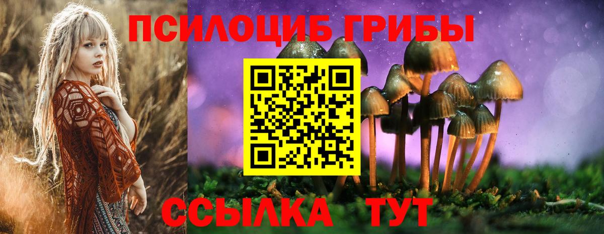 Псилоцибиновые грибы Psilocybine cubensis Улан-Удэ
