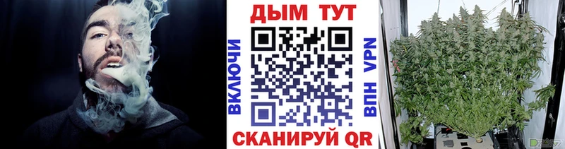 где продают наркотики Улан-Удэ Каннабис VHQ