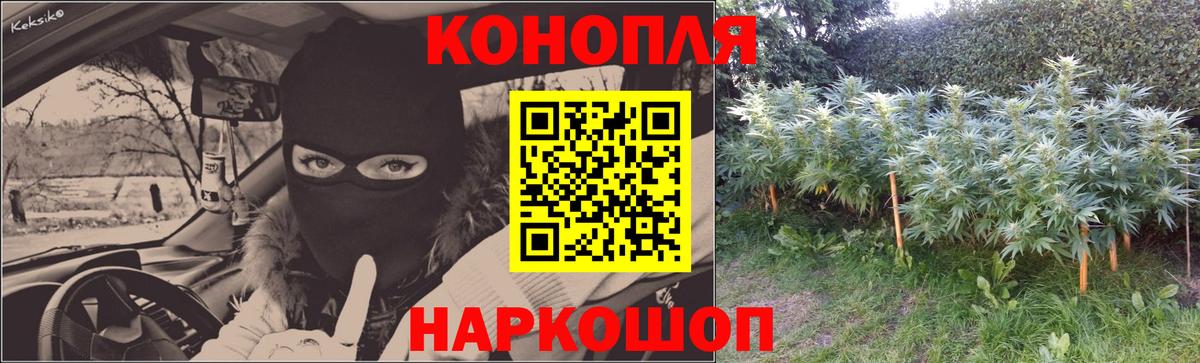 Шишки марихуана план  Улан-Удэ  Марихуана VHQ  Бошки марихуана индика 